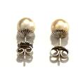 Ohrringe Ohrstecker Akoya Perle ZP 585er Weißgold 7 mm 14 Karat WG