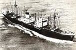 Niederlande Ansichtskarte Seefahrt Niederlande um 1960 M.S. Bintang , St... 11.55 US$  +  shipping
