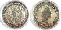 Australien 5 Dollar Kookaburra 1 Unze - in Kapsel -