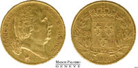 France 20 FRANCS FRANCE - LOUIS XVIII - 20 FRANCS 1819 Q PERPIGNAN -