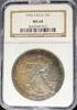 Bullion Münzen Silver Eagle  Toned 1992 Silver Eagles NGC MS68