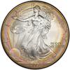 Bullion Münzen Silver Eagle  Toned 2000 Silver Eagles PCGS MS69
