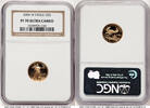 USA Certified Gold Eagles Proof Gold Eagle 1/10 oz Brown Label Certified Gold American Eagles -