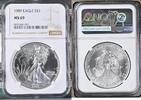 Bullion Münzen 1989 Silver Eagles NGC MS69