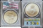 Bullion M&uuml;nzen Silver Eagle WTC Ground Zero Recovery 9/11/01 2001 Silver... 300.00 US$  +  15.00 US$ shipping