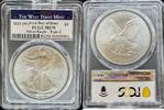 Weltmünzen 2021-W T2 Silver Eagle FDI -