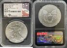 US 2021-S T1 Silver Eagle Emergency Issue FDI Black Silver Eagles -
