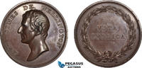 Great Britain Bronze Meda Duke of Wellington, Rare! -