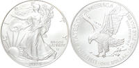 U.S.A. USA Eagle 2024 1 ounce silver -