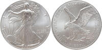 U.S.A. USA Eagle 2022 1 ounce silver -