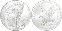 U.S.A. USA Eagle 2026 1 ounce silver -