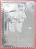 Zilveren Postzegel Troonswisseling 2013 -