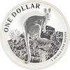 Australië Kangaroo 2010 1 ounce silver -