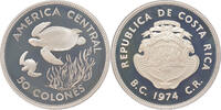 50 Colones Costa Rica 50 Colones Green Turtle 1974 silver -
