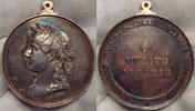 Italien-Königreich Tragbare Silbermedaille Kleiner Randfehler.Von Speranza.Für Verdienste in der Landwirtschaft.#7 -