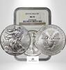 USA SILVER-EAGLE-DOLLAR 2013-W NGC-MS70 201.53 US$  +  shipping