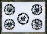 Österreich 1x 100 öS und 4x 50 öS 1974 amtlicher PP-Satz aller 5 Sondermünzen im Plastiketui Proof