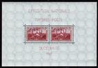 Luxemburg Set von 2 Blocks zur Nationalen Briefmarkenausstellung in Dudelange -