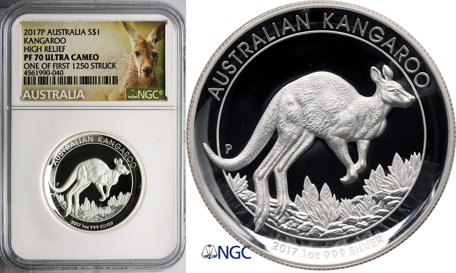 2017 オーストラリア カンガルー 1ドル 銀貨 NGC PF70 UC Australia Dollar 2017 P Kangaroo (High Relief NGC PF 70 Ultra