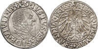 East Prussia/ Preussen, Herzogtum (Ostpreussen) Groschen Albrecht Hohenzollern 1525-1568 -