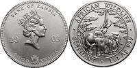 Zambia 5000 Kwacha Two African elephants -