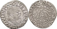 East Prussia/ Preussen, Herzogtum (Ostpreussen) Groschen Albrecht Hohenzollern 1525-1568 -