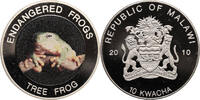 Malawi 10 Kwacha Multicolor Tree Frog -