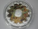 FRANKREICH 250 Euro 2025 250 Euro Silber 1/2 Kg coloriert 2025 Palais Ga... 20,230.18 元  ＋  运费
