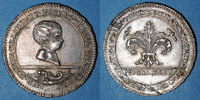 ALSACE Jeton Alsace. Strasbourg. Jubilé de Naissance du Dauphin. argent -