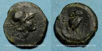 GREEK COINS Bronze Italie. Apulie. Salapia. vers 225-210 AC -