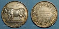 TOKENS Jeton Paris. Vaccinations municipales argent -