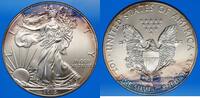 WORLD COINS (excl. EUROPE) 1 dollar Etats Unis. American Eagle -