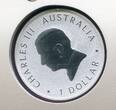 Australien 1 Dollar Silber Kookaburra - World Money Fair 2026 (1 oz, m. Farbapplikation) BU in coincard, orig. packaging