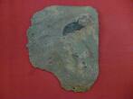 Schweden, Sweden 2 Daler Notgeld 1750 Kupferplatte Large Copper Plate Frederik I Shipwreck see picture, ex shipwreck