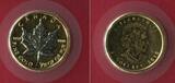 Kanada 5 Dollar 1/10 Unze Gold 2010 Maple Leaf Goldmünze teilplatiniert Wallstreet Investment Gold coin in glass case with box