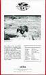 Spanien 2000 Pesetas Silbermünze 1996 Braunbär - Gefährdete Tierwelt-Serie proof in capsule with certificate