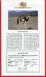 Westsahara 1000 Pesetas Silbermünze 2002 Dromedar - Gefährdete Tierwelt - Endangered Wildlife proof in capsule with certificate