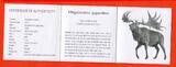 Ghana 1000 Cedis Silbermünze 2019 Giant Deer Riesen Hirsch Megagloceros Giganteus Proof with COA and Capsule