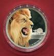 Niue 2 Dollars Silbermünze teilcoloriert 2016 Könige der Kontinente - Afrikanischer Löwe (1 oz) proof in capsule w. certificate, orig. packaging
