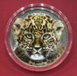 Burundi 5000 Francs Silbermünze 2014 The African Baby Five - Leopard (1 oz, m. Farbauflage, sehr selten / very rar) antique finish in capsule, coa & box