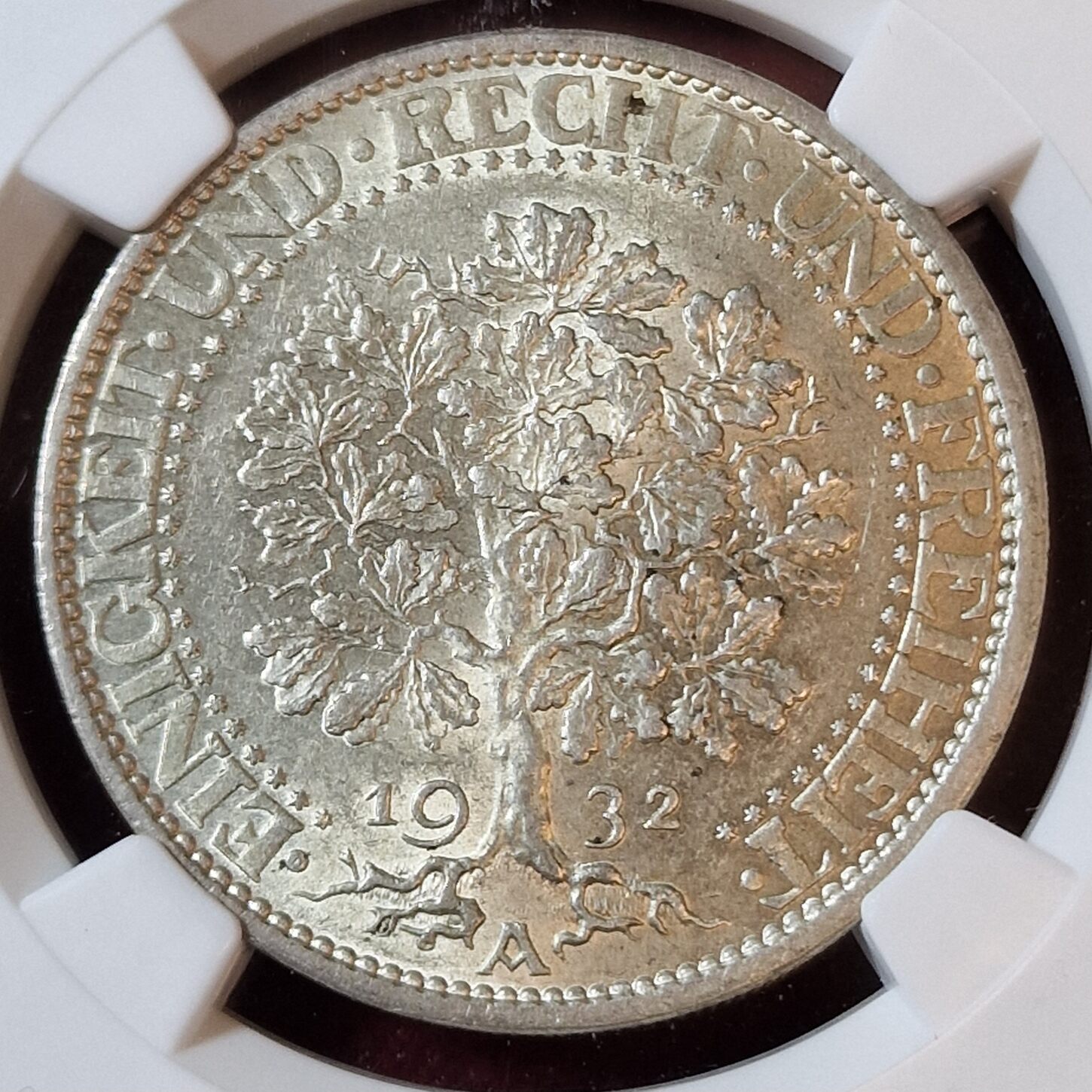 デンマーク 1758年 フレデリック5世 12マルク NGC鑑定 MS64