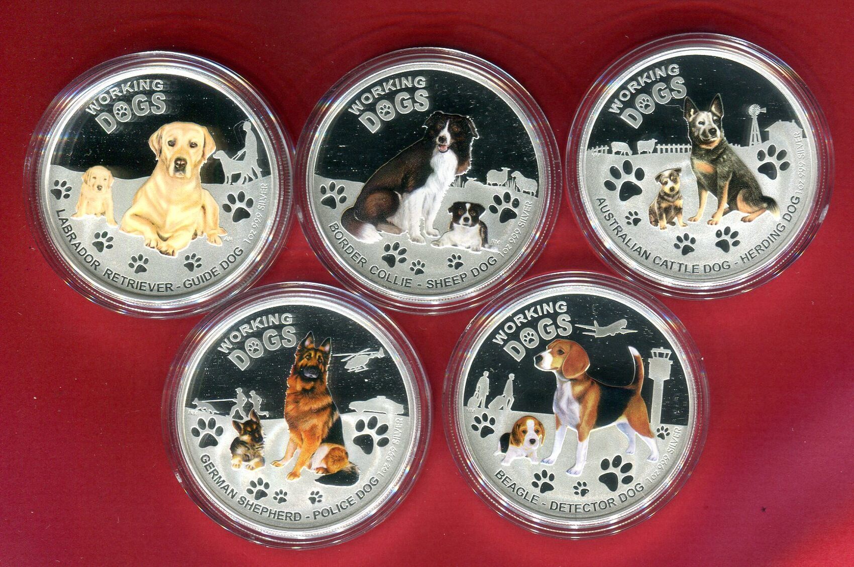 Tuvalu 5 x 1 Dollar Silbermünzen, je 1 OZ Silber 2010 - 2011 Working Dogs -  Komplette Serie - 1 oz Silver Proof Coin Set Proof colorated coins with