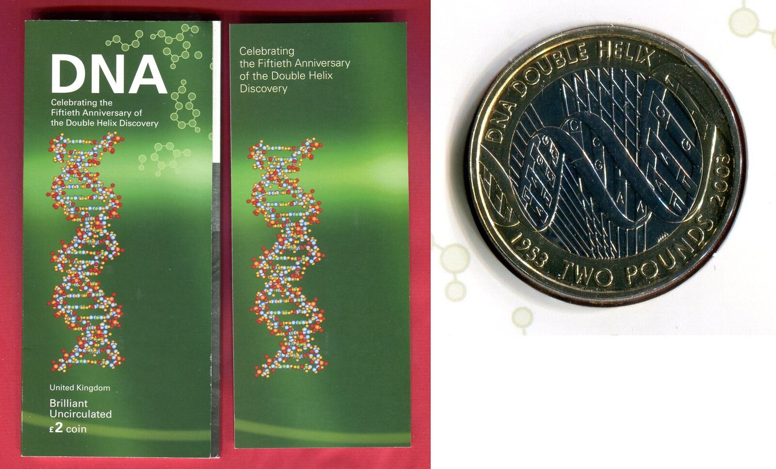 Dna Double Helix 2 Pound Worth