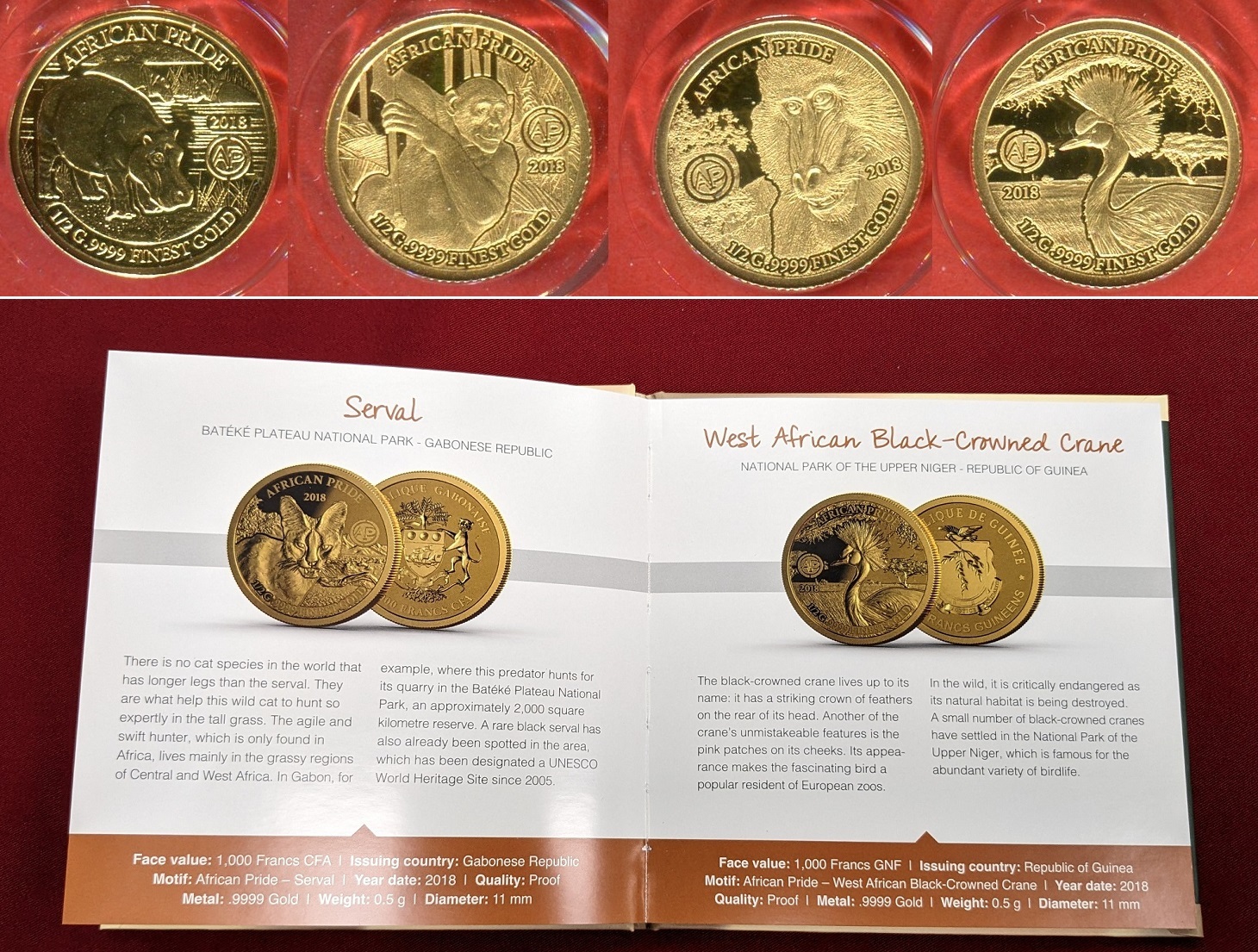 Diverse Afrikanische L nder 12 Minigoldm nzen 0 5 Gramm Gold 2018 diverse-afrikanische-l-nder-12-minigoldm-nzen-0-5-gramm-gold-2018