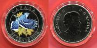 Kanada 25 Cents Silver Coin Royal Canadian Mint - Blue Jay - Noisy Blue Glider -