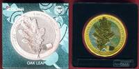 Germania Mint 5 Mark Silber Farbauflage OAK LEAF 12 Months - June -
