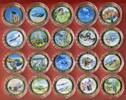 Cook-Inseln 20 x 1 Dollar Farbmünzen Ku/Ni vergoldet D-Day to Victory - Coin Collection - Copper with 24 Carat Gold-plating -