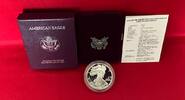 USA 1 Dollar Silber 1990 American Eagle Silver Bullion (1 oz) proof in capsule with certificate, orig. packaging
