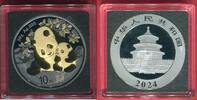 China 10 Yuan Silbermünze teilvergoldet 2024 Panda - Golden Eniga Edition - Schwarz-Ruthenium Veredelung BU in capsule