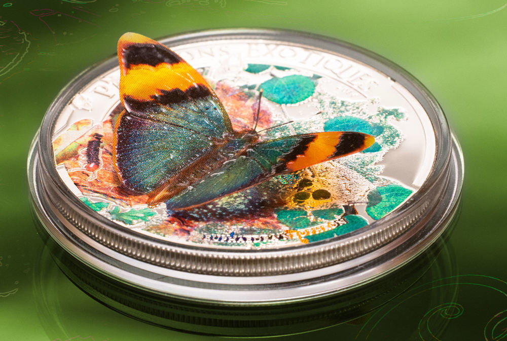 Central African Rep 2014 Butterflies in 3D Euphaedra neophron Silver Proof Coin